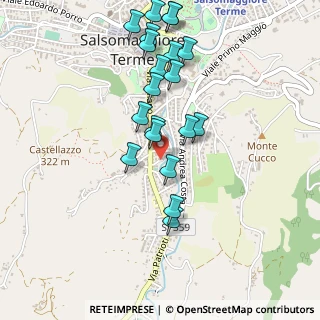 Mappa Via Monte Santo, 43039 Salsomaggiore Terme PR, Italia (0.4835)