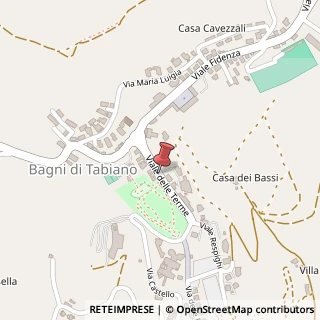 Mappa Viale castello tabiano - tabiano 32, 43039 Salsomaggiore Terme, Parma (Emilia Romagna)