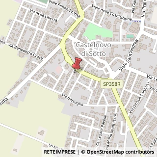 Mappa Via Alessandro Manzoni, 1, 42024 Castelnovo di Sotto, Reggio nell'Emilia (Emilia Romagna)