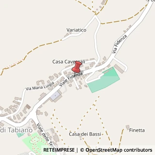 Mappa Viale Fidenza, 34, 43030 Salsomaggiore Terme, Parma (Emilia Romagna)