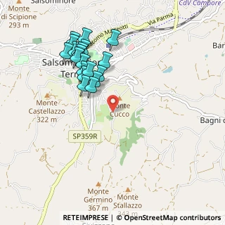 Mappa Via Paradiso, 43039 Salsomaggiore Terme PR, Italia (1.003)