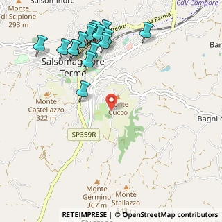 Mappa Via Paradiso, 43039 Salsomaggiore Terme PR, Italia (1.255)