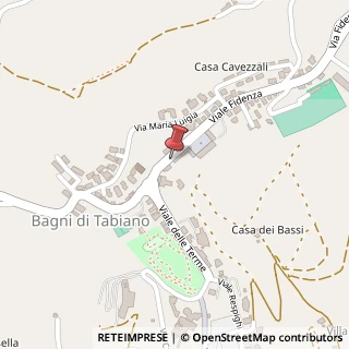 Mappa Viale Fidenza, 12, 43039 Salsomaggiore Terme, Parma (Emilia Romagna)