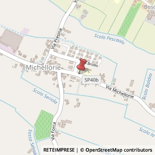 Mappa Via Michellorie,  47, 37041 Albaredo d'Adige, Verona (Veneto)