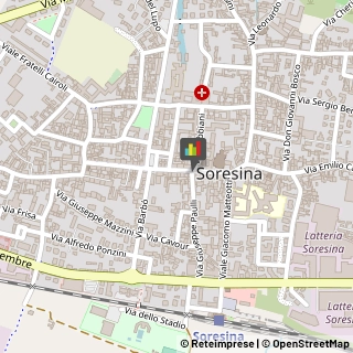 Animali Domestici - Vendita Soresina,26015Cremona