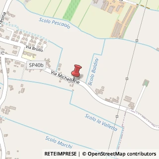 Mappa Via Michellorie,  63, 37041 Albaredo d'Adige, Verona (Veneto)