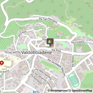 Palestre e Centri Fitness,31049Treviso