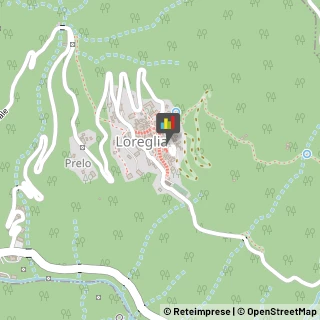 Autotrasporti Loreglia,28893Verbano-Cusio-Ossola