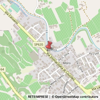 Mappa Via Immacolata di Lourdes, 272, 31015 Conegliano, Treviso (Veneto)