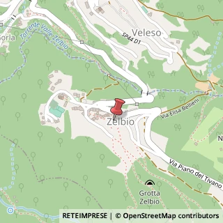 Mappa Via Abbondio Invernizzi, 2, 22020 Zelbio, Como (Lombardia)