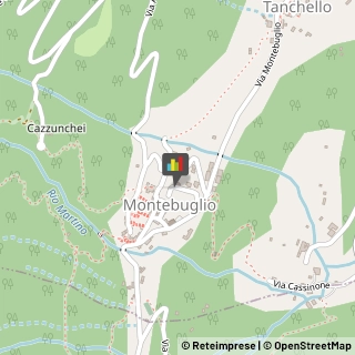 Imbalsamatori,28881Verbano-Cusio-Ossola
