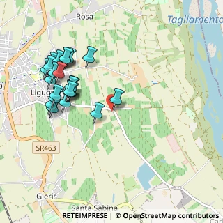 Mappa Email marchesingiovanni@libero, 33078 San Vito al Tagliamento PN, Italia (1.056)