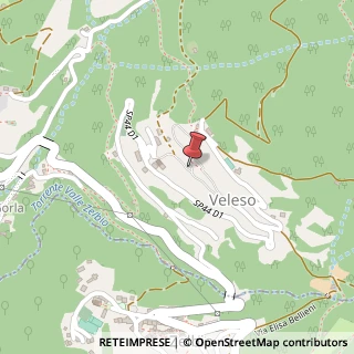 Mappa Via Carlo De Giani, 2, 22020 Veleso, Como (Lombardia)