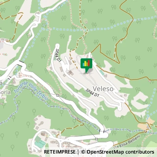 Mappa Via Carlo De Giani, 2, 22020 Veleso, Como (Lombardia)