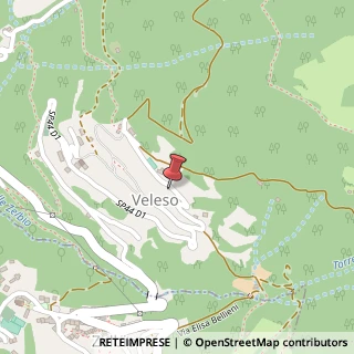 Mappa Via Commendator Pasquale Mariani, 8, 22020 Veleso, Como (Lombardia)