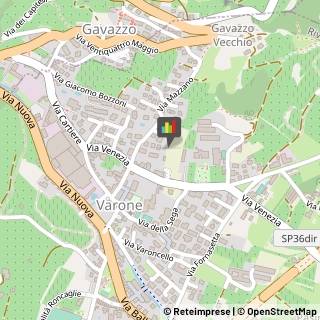 Piante e Fiori - Dettaglio,38066Trento