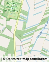 Via Timavo, 44,34074Monfalcone