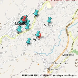 Mappa Via Aquino, 90046 Monreale PA, Italia (1.235)