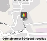Supermercati e Grandi magazzini,91015Trapani
