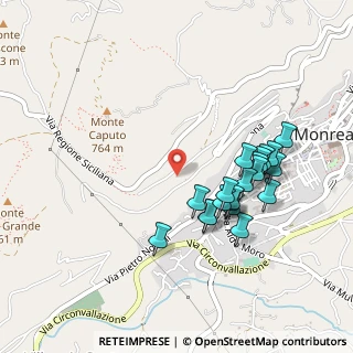 Mappa Strada Vicinale San Martino, 90046 Monreale PA, Italia (0.507)