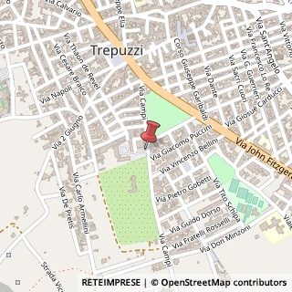 Mappa Via Campi, 48, 73019 Trepuzzi, Lecce (Puglia)