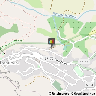 Paste Alimentari - Dettaglio Trentinara,84070Salerno