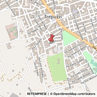 Mappa Largo braico 1, 73019 Trepuzzi, Lecce (Puglia)