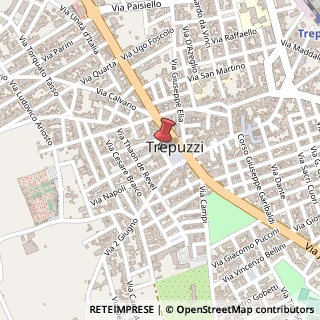 Mappa Largo margherita 5, 73019 Trepuzzi, Lecce (Puglia)