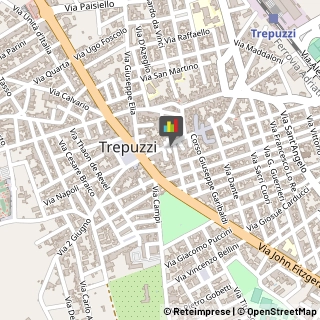 Geometri Trepuzzi,73019Lecce