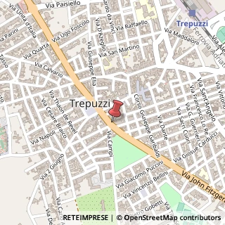 Mappa Via John Fitzgerald Kennedy, 31, 73019 Trepuzzi, Lecce (Puglia)