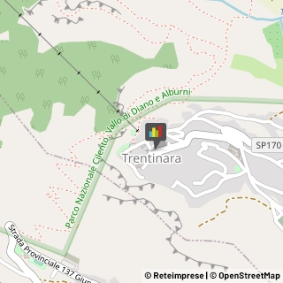 Aziende Agricole Trentinara,84070Salerno