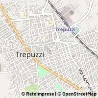 Kort Trepuzzi