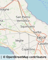 Vini e Spumanti - Produzione e Ingrosso Lecce,73100Lecce