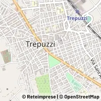 Kort Trepuzzi