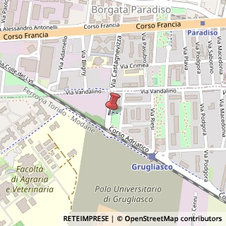 Mappa Via Castagnevizza,  10, 10095 Grugliasco, Torino (Piemonte)