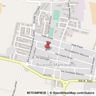 Mappa Via C. Rossi, 16, 46017 Rivarolo Mantovano, Mantova (Lombardia)