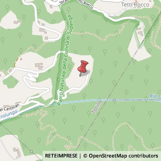 Mappa Strada Comunale del Cartman, 123, 10132 Torino, Torino (Piemonte)