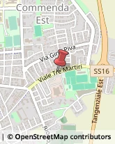 Viale Tre Martiri, 61,45100Rovigo