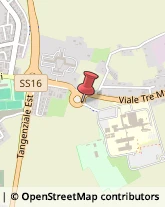 Viale Tre Martiri, ,45100Rovigo