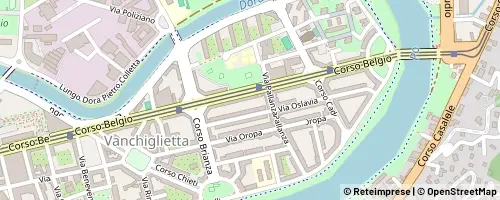 Mappa Turin