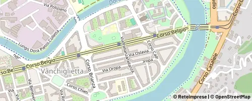 Mappa Turin