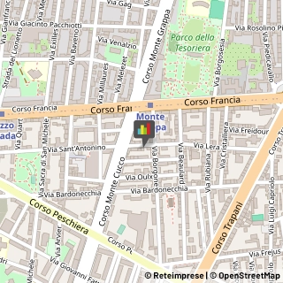 Logopedia,10139Torino