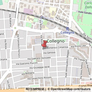 Mappa Via Roma, 102, 10093 Collegno, Torino (Piemonte)