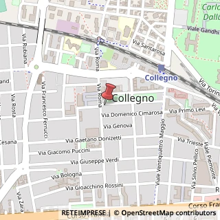 Mappa Piazza della Repubblica, 39/b, 10093 Collegno, Torino (Piemonte)