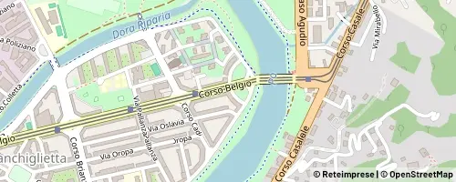 Mappa Torino