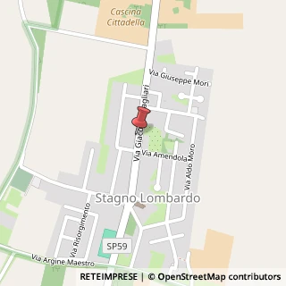 Mappa Via Pagliari Giacomo, 31, 26049 Stagno Lombardo, Cremona (Lombardia)