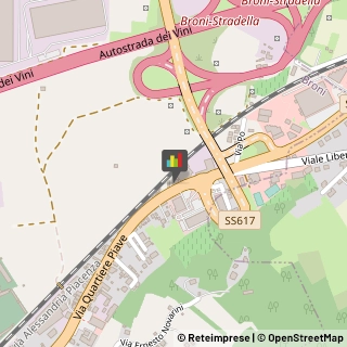 Palestre e Centri Fitness,27043Pavia