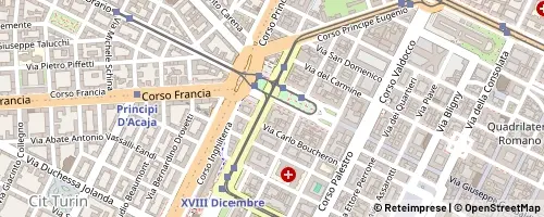 Mappa Turin