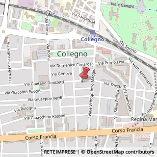 Mappa Via Donizetti Gaetano, 7, 10093 Collegno, Torino (Piemonte)