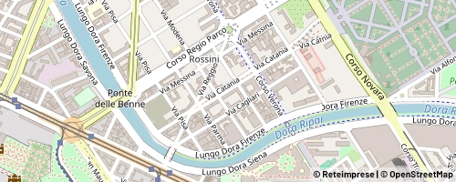 Mappa Turin